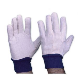 Mens Cotton Drill Gloves - Blue Cuff