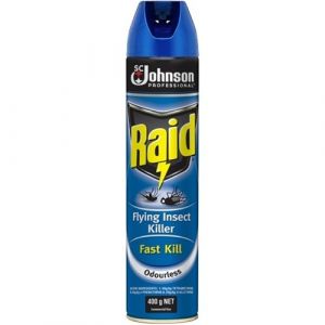 Raid Odourless Insect Spray 400g